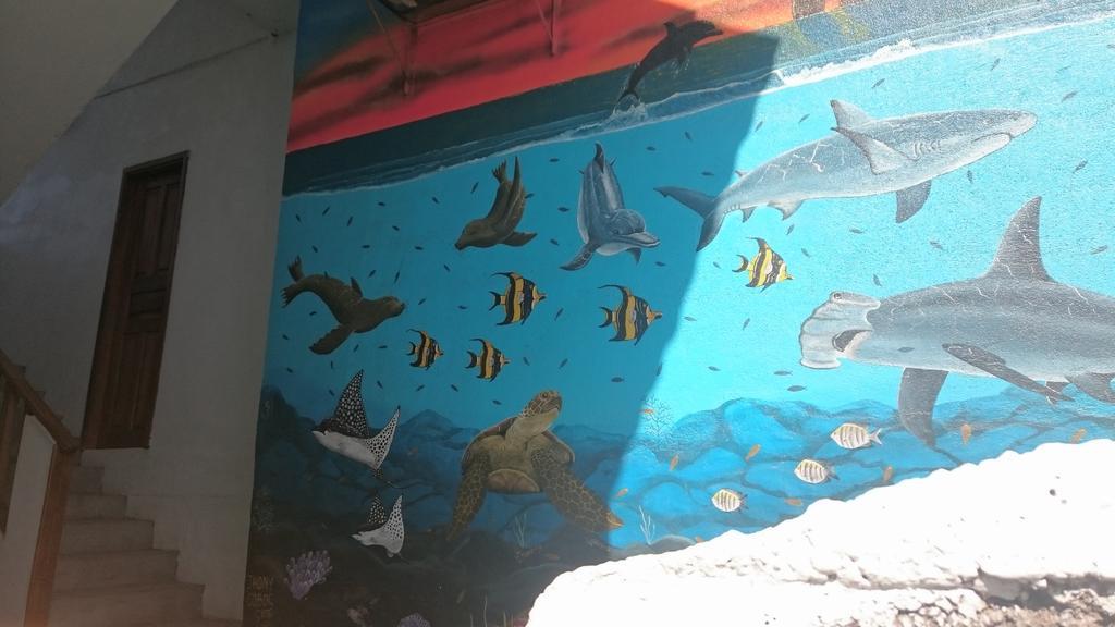 بويرتو بكويريزو مورينو Casa De Celeste المظهر الخارجي الصورة