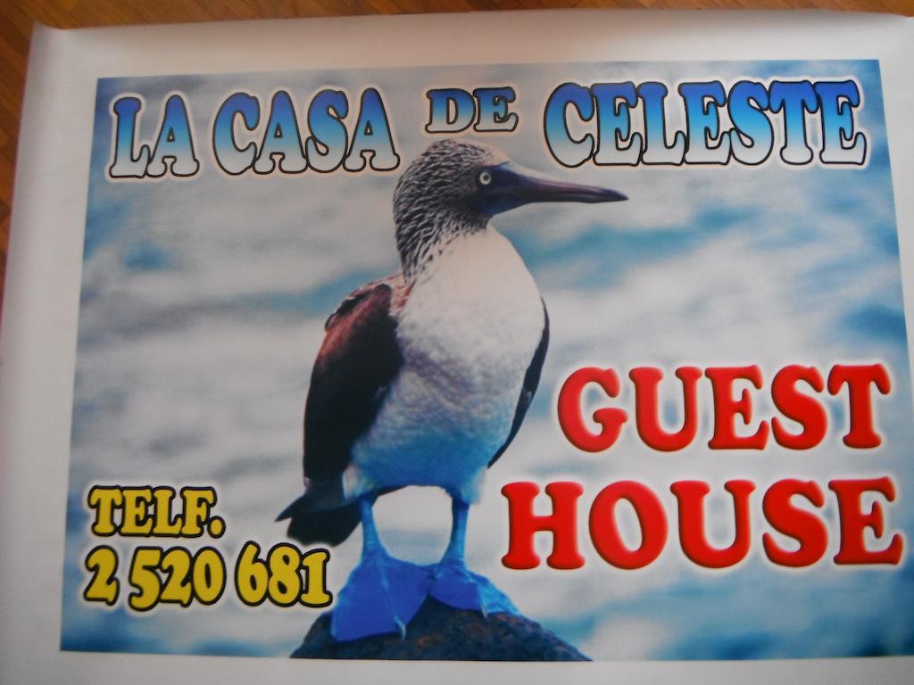 بويرتو بكويريزو مورينو Casa De Celeste المظهر الخارجي الصورة